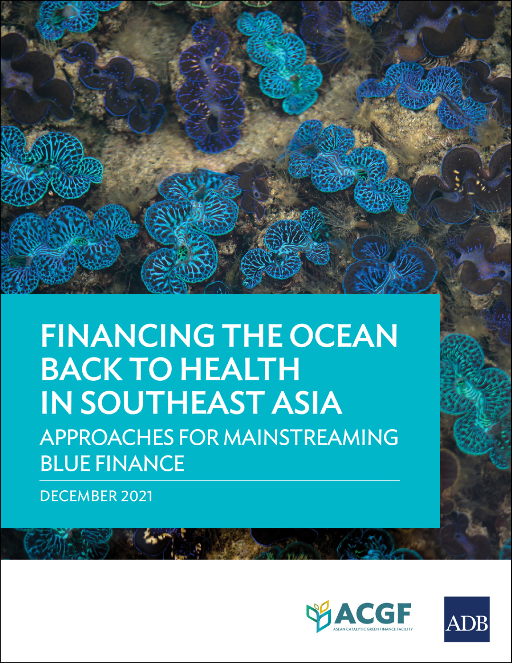 Financing the Ocean Back to Health in Southeast Asia: Approaches for Mainstreaming Blue Finance - (PDF/EPUB Version)