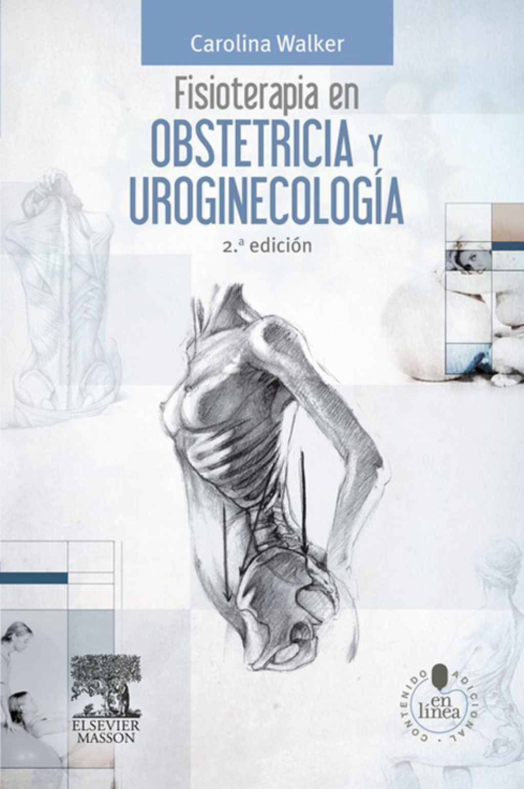 Fisioterapia en obstetricia y uroginecologÃ­a 2nd Edition - (PDF/EPUB Version)
