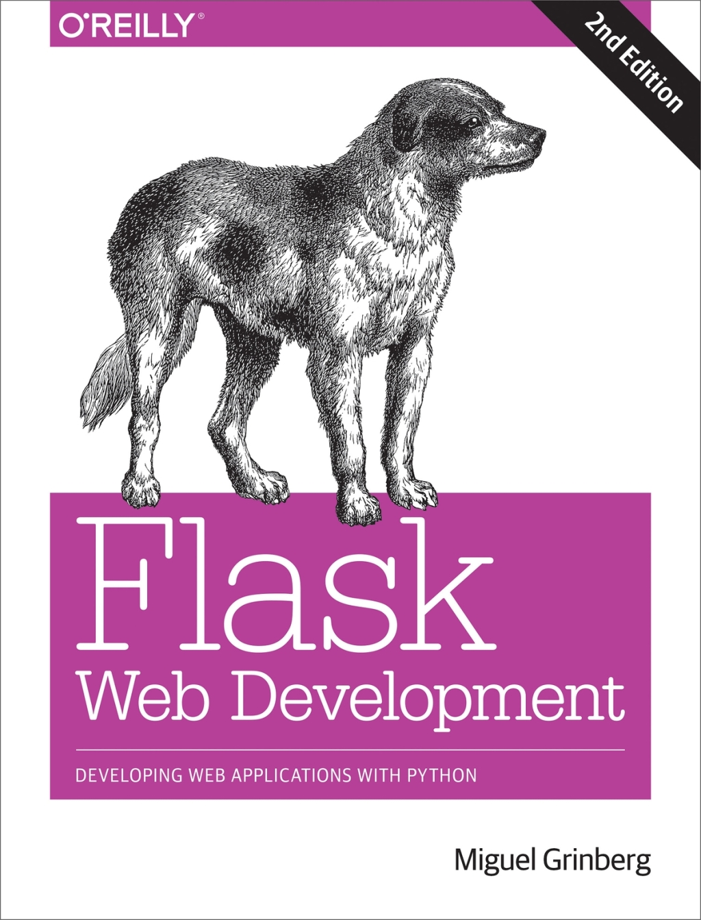 Flask Web Development Developing Web Applications with Python 2nd ...