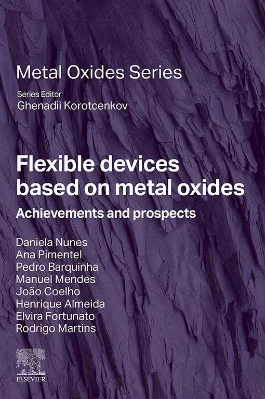 Flexible Devices Based on Metal Oxides Achievements and Prospects â ...