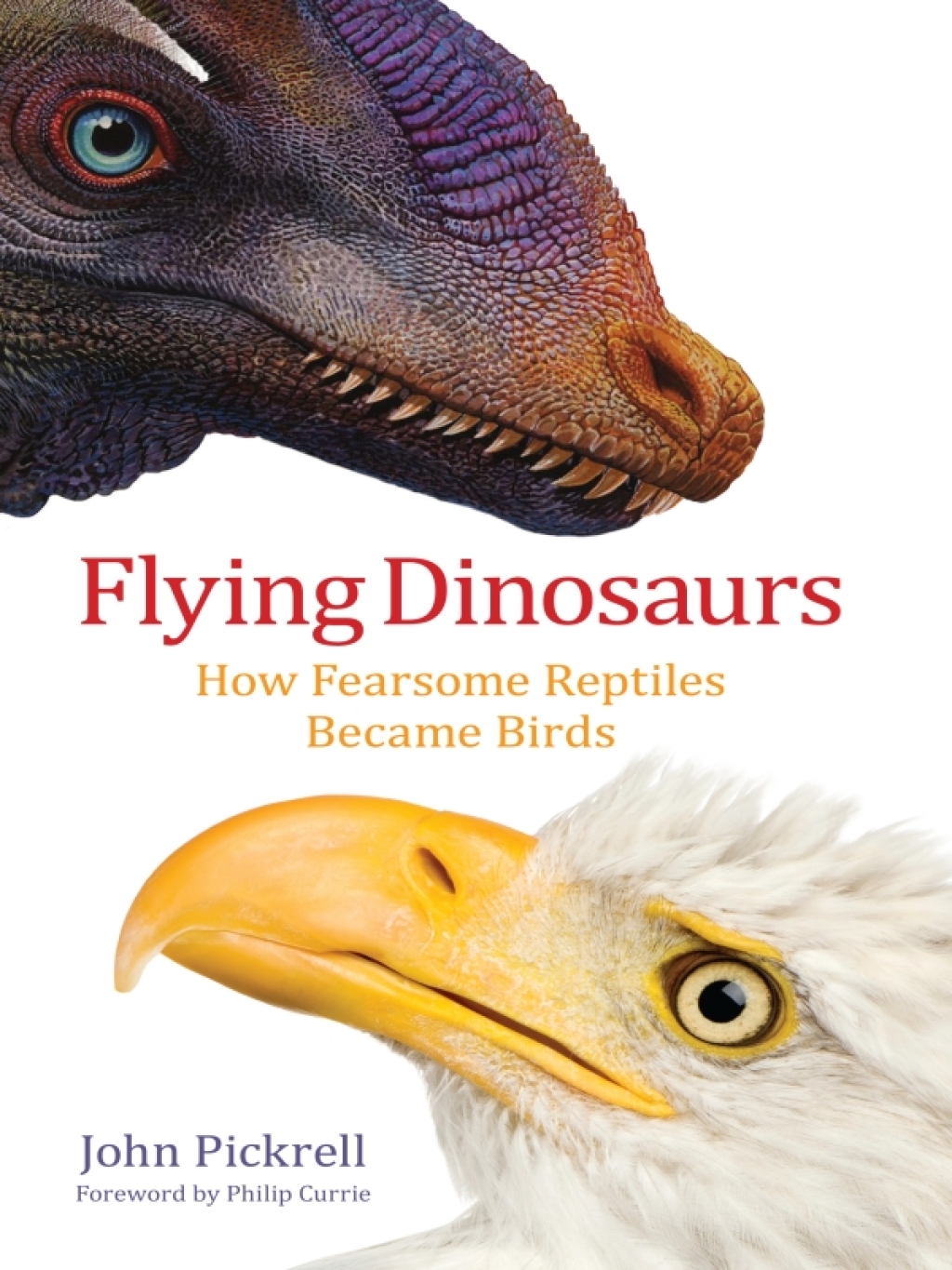 Flying Dinosaurs How Fearsome Reptiles Became Birds - (PDF/EPUB Version)