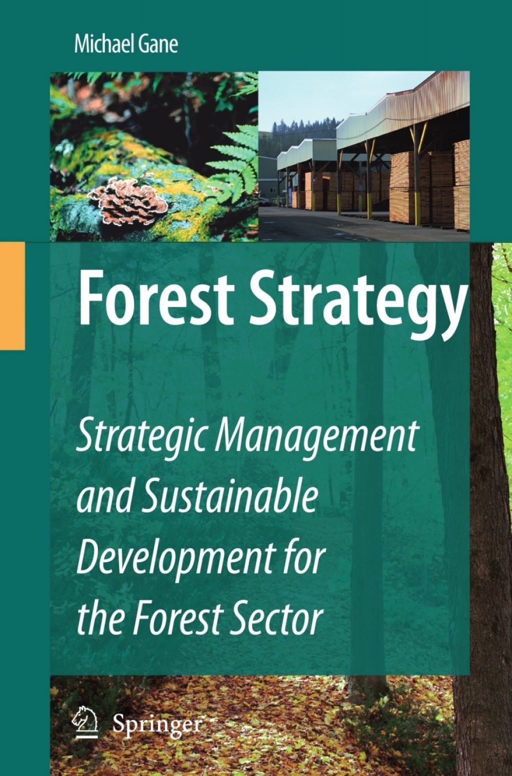 Forest Strategy Strategic Management and Sustainable Development for ...