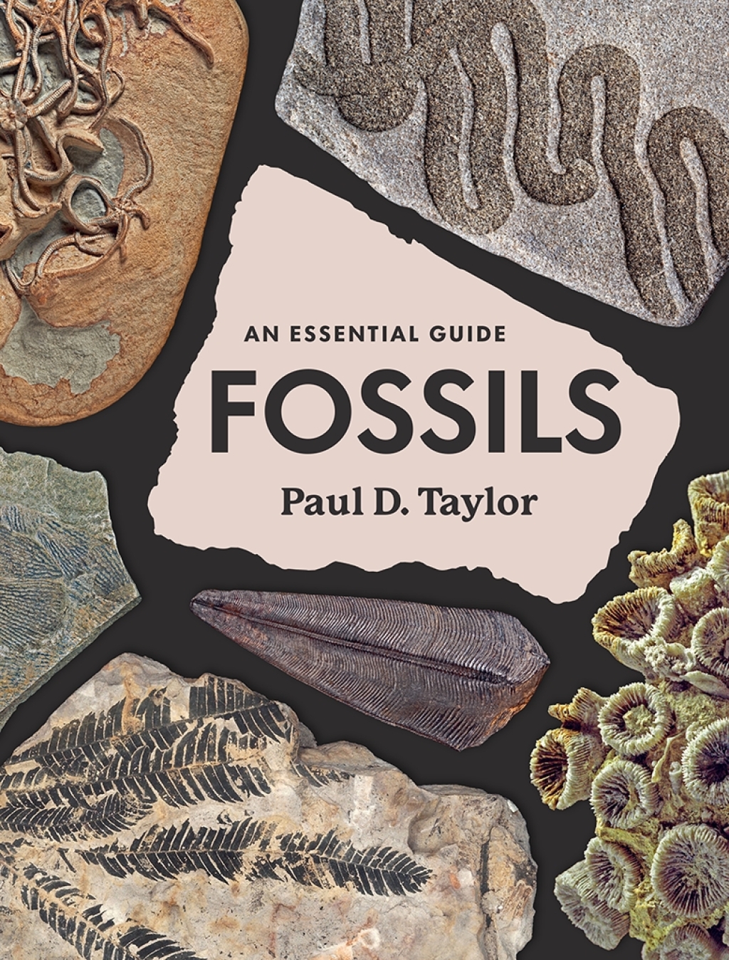 Fossils An Essential Guide - (PDF/EPUB Version)