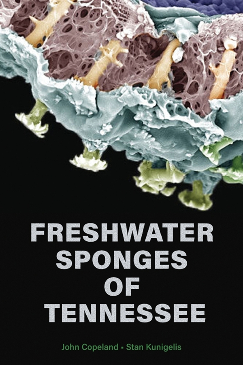 Freshwater Sponges of Tennessee - (PDF/EPUB Version)