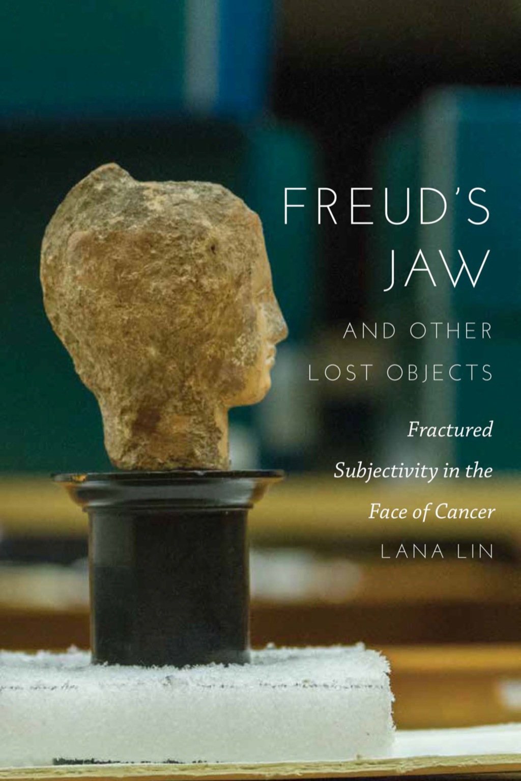 Freud's Jaw and Other Lost Objects Fractured Subjectivity in the Face of Cancer - (PDF/EPUB Version)