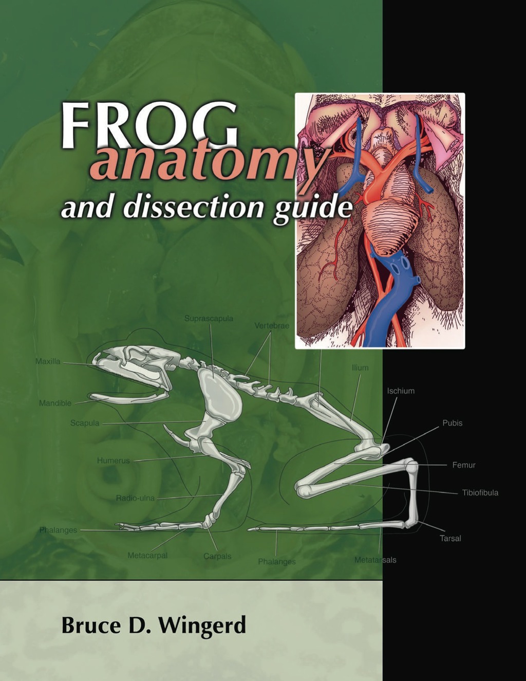 Frog Anatomy & Dissection Guide 1st Edition - (PDF/EPUB Version)