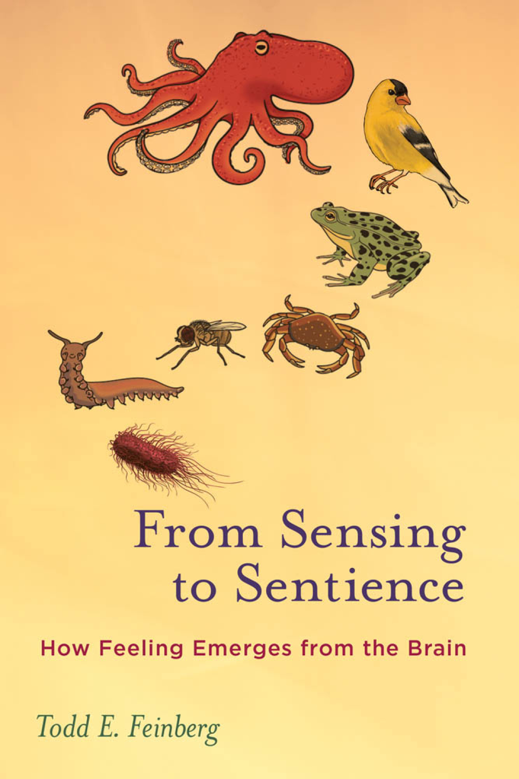 From Sensing to Sentience How Feeling Emerges from the Brain - (PDF/EPUB Version)
