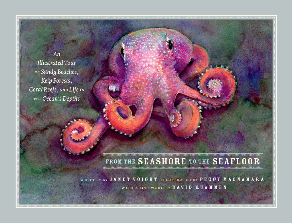 From the Seashore to the Seafloor An Illustrated Tour of Sandy Beaches, Kelp Forests, Coral Reefs, and Life in the Ocean's Depths - (PDF/EPUB Version)