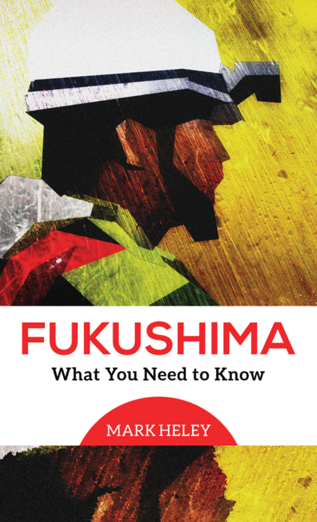 Fukushima What You Need to Know - (PDF/EPUB Version)