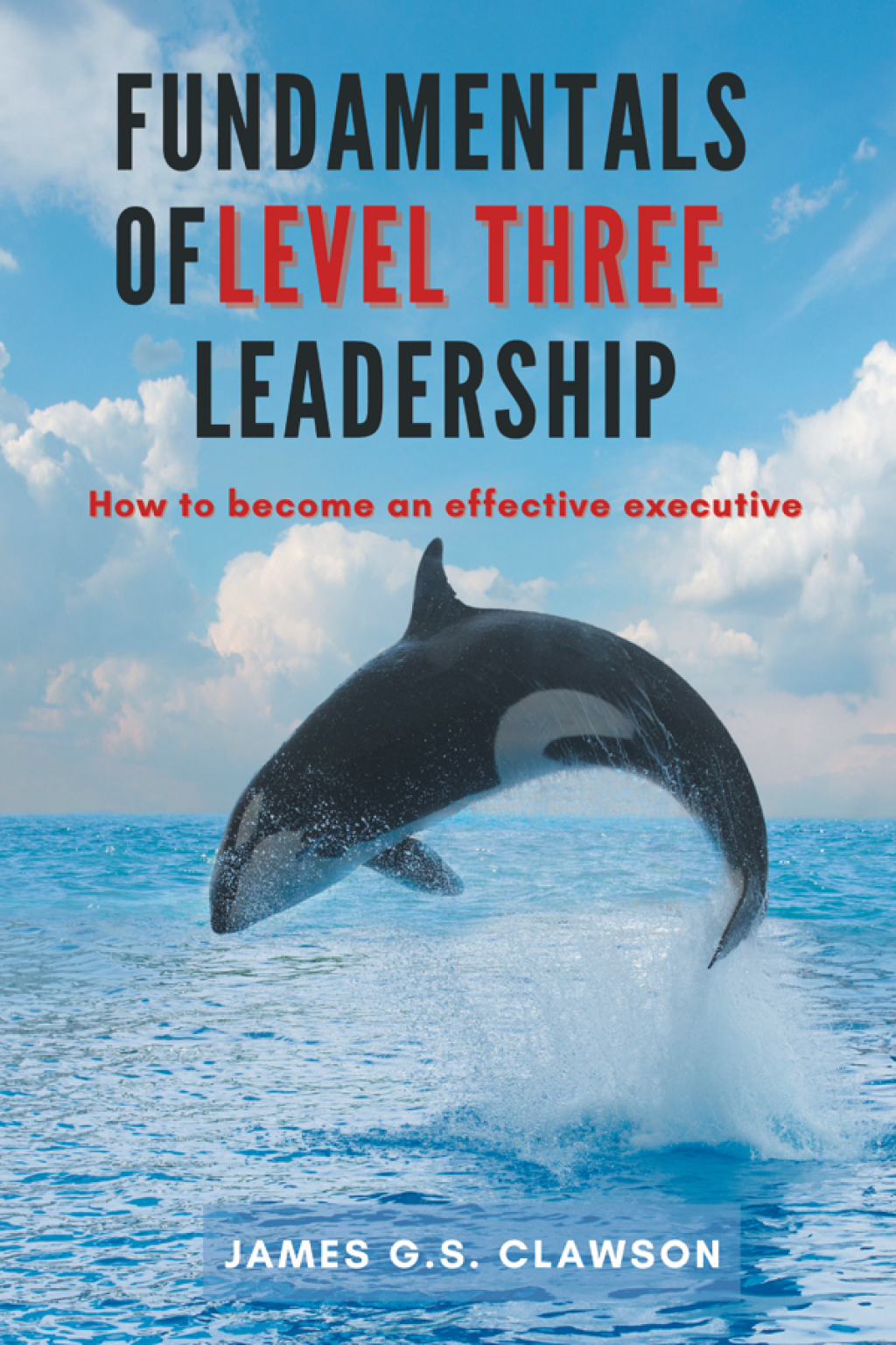 Fundamentals of Level Three Leadership How to Become an Effective Executive - (PDF/EPUB Version)