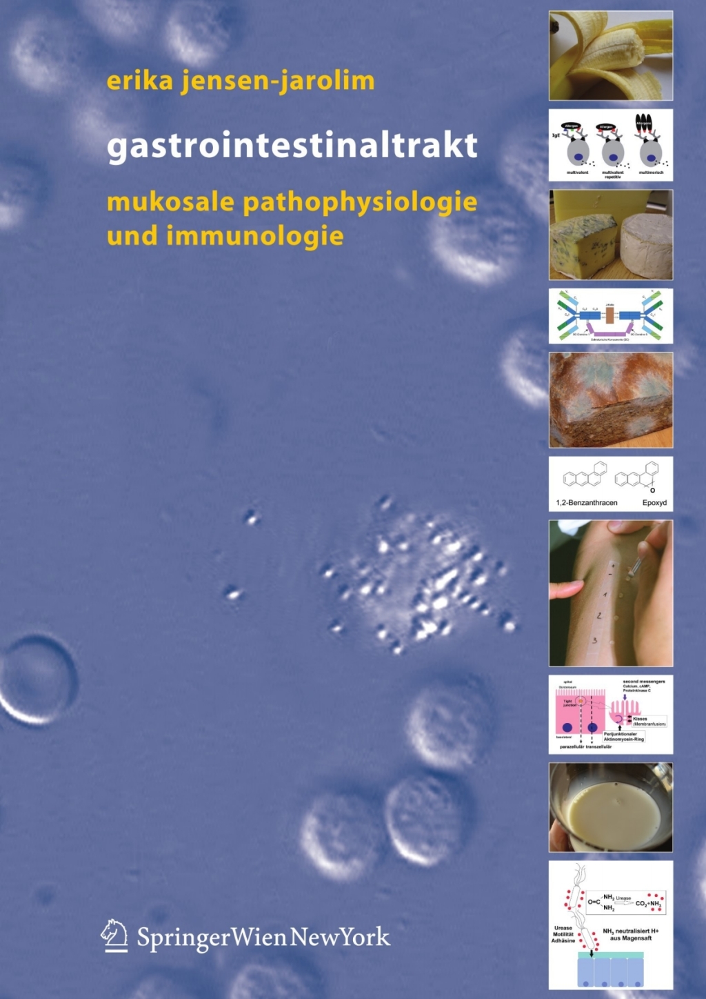 Gastrointestinaltrakt Mukosale Pathophysiologie und Immunologie - (PDF/EPUB Version)