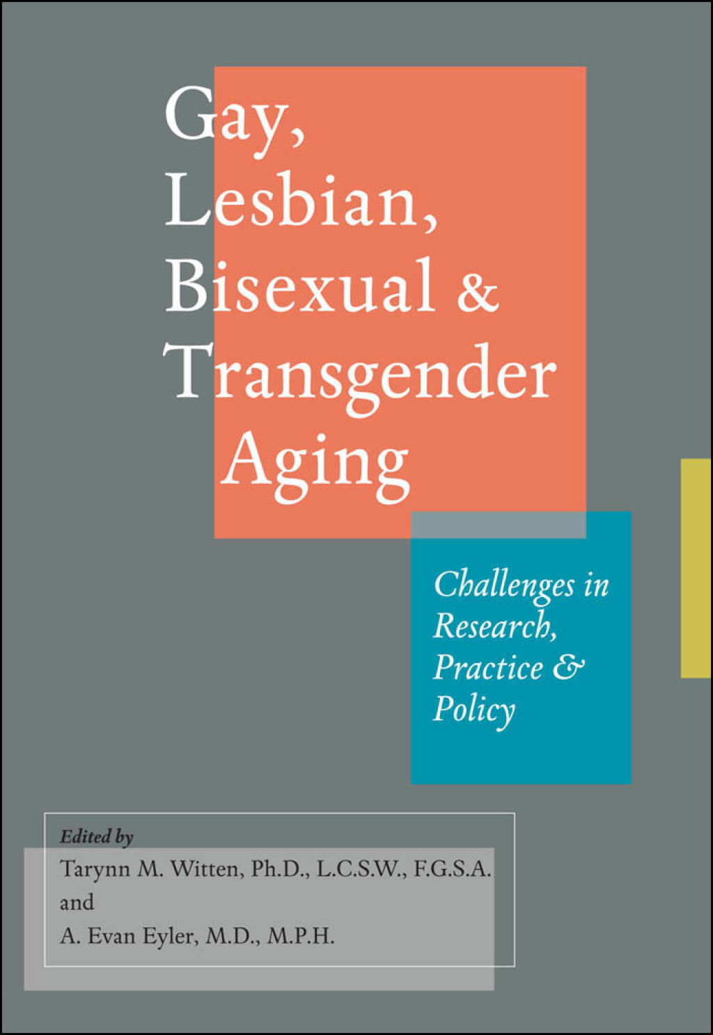 Gay, Lesbian, Bisexual, and Transgender Aging Challenges in Research, Practice, and Policy - (PDF/EPUB Version)