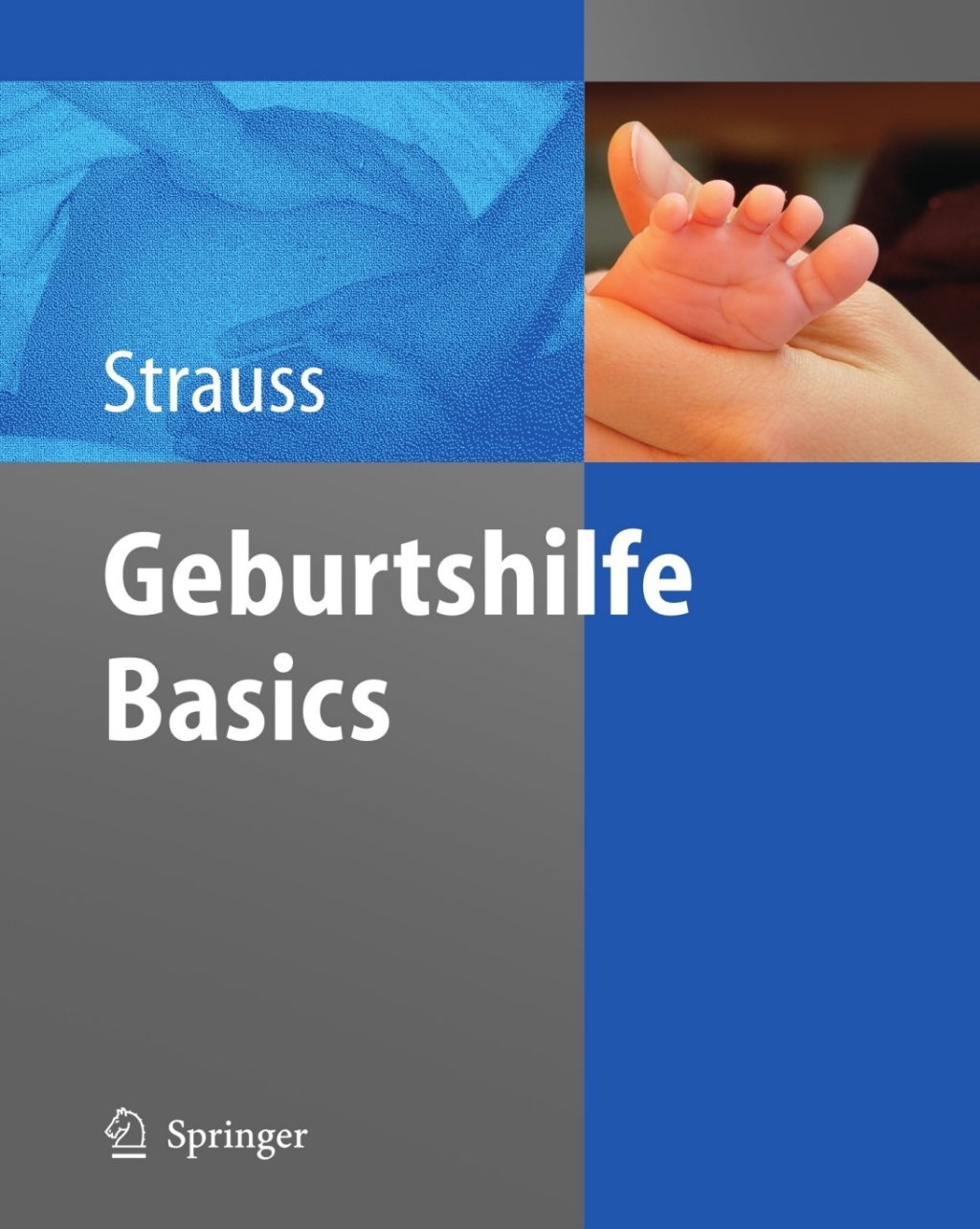 Geburtshilfe Basics - (PDF/EPUB Version)