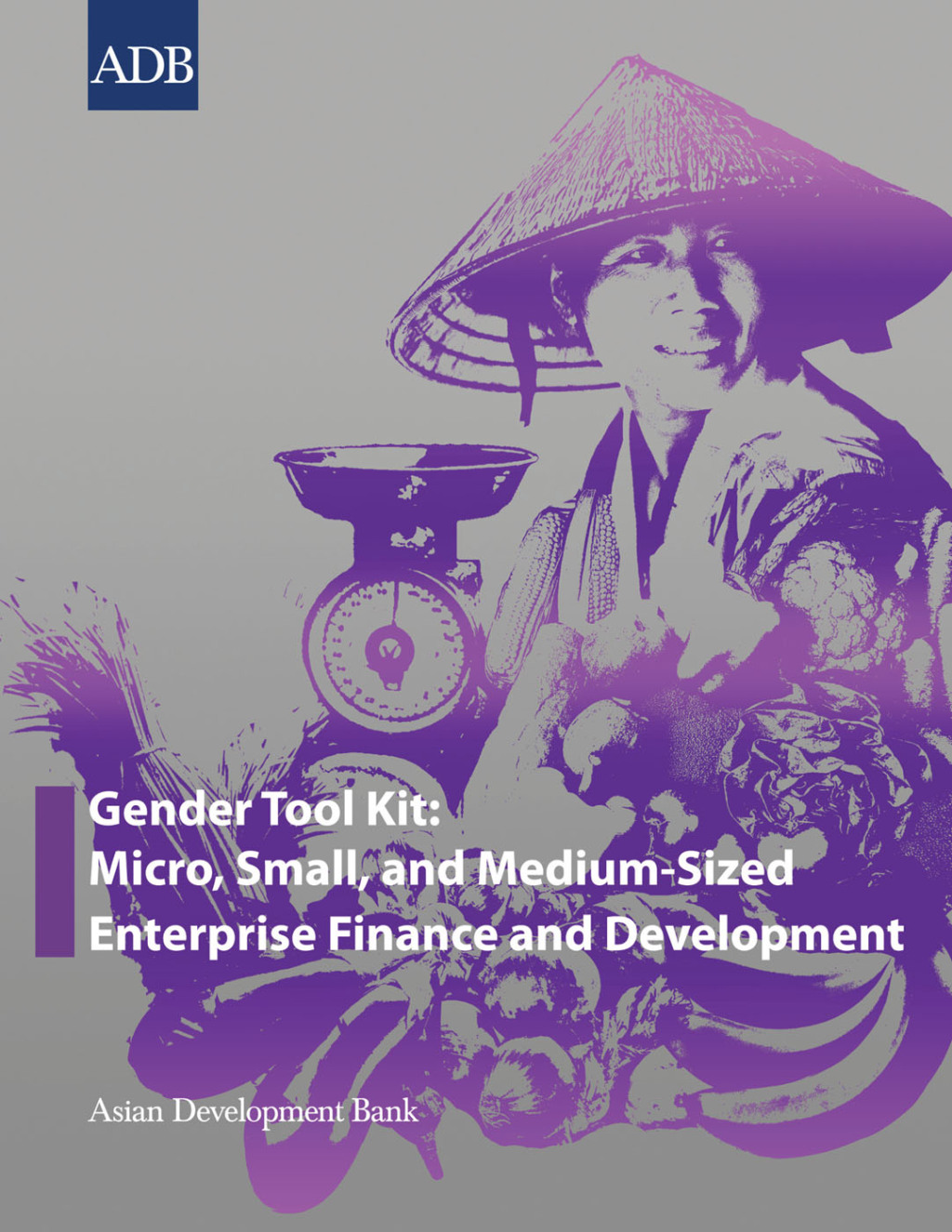 Gender Tool Kit: Micro, Small, and Medium-Sized Enterprise Finance and Development - (PDF/EPUB Version)