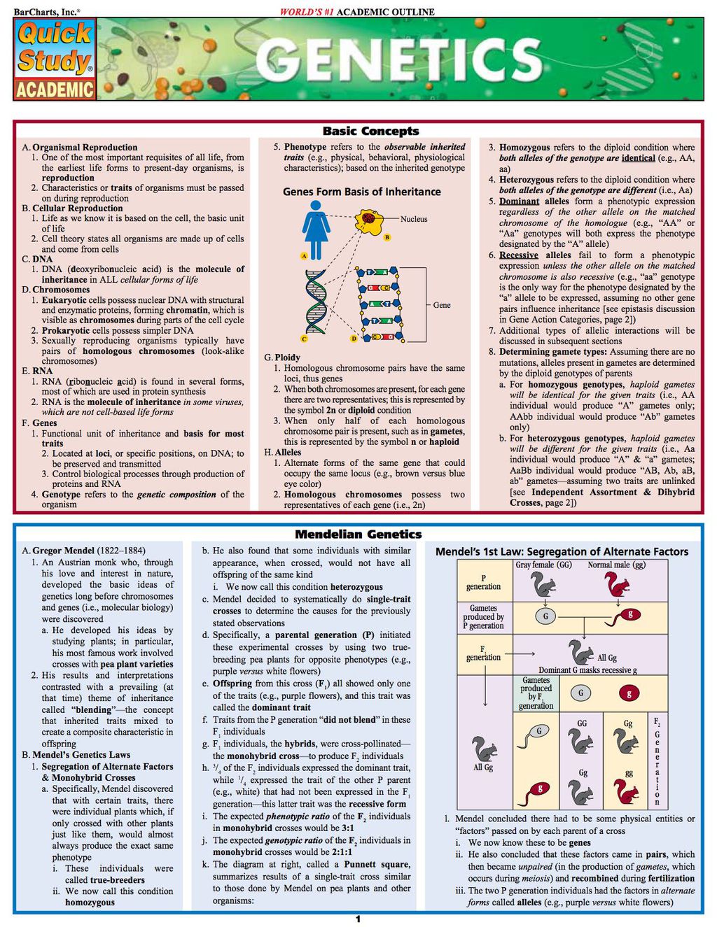 Genetics 1st Edition - (PDF/EPUB Version)