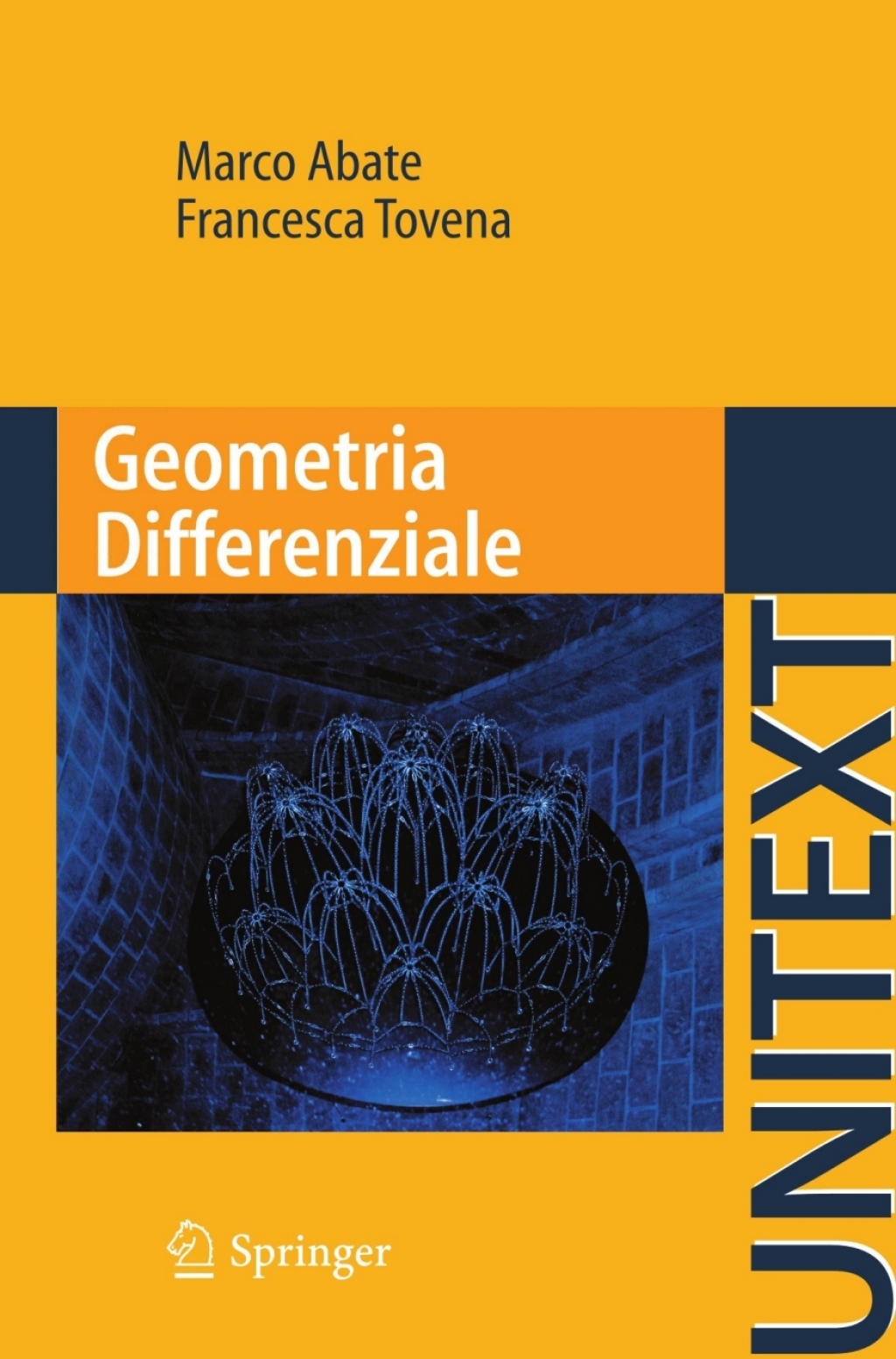 Geometria Differenziale - (PDF/EPUB Version)