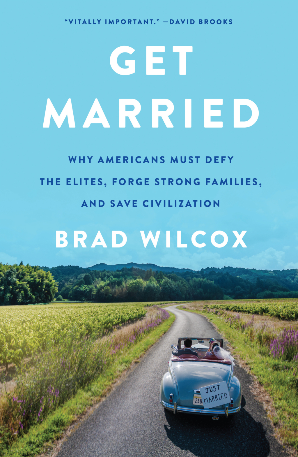 Get Married Why Americans Must Defy the Elites, Forge Strong Families, and Save Civilization - (PDF/EPUB Version)