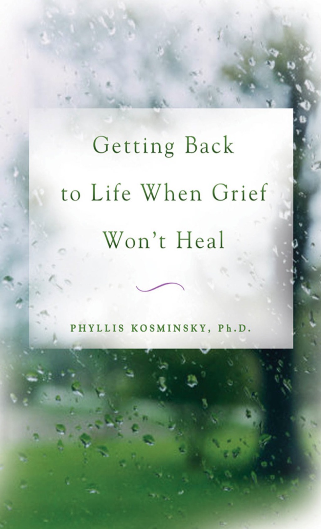 Getting Back to Life When Grief Won't Heal 1st Edition - (PDF/EPUB Version)