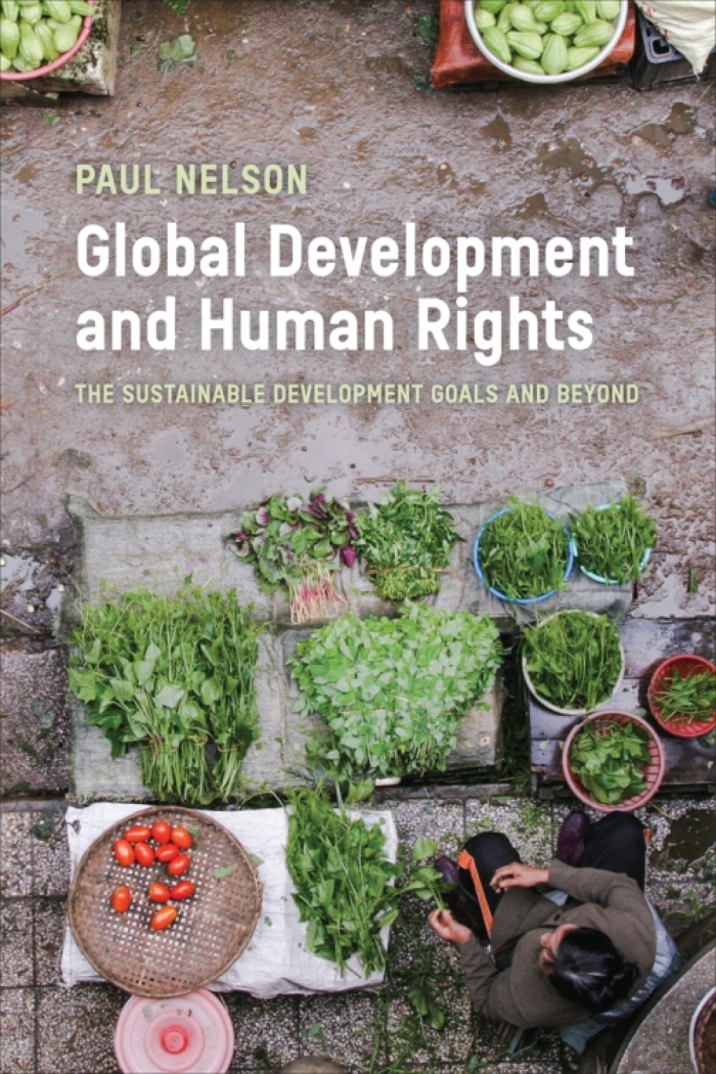 Global Development and Human Rights The Sustainable Development Goals and Beyond 1st Edition - (PDF/EPUB Version)