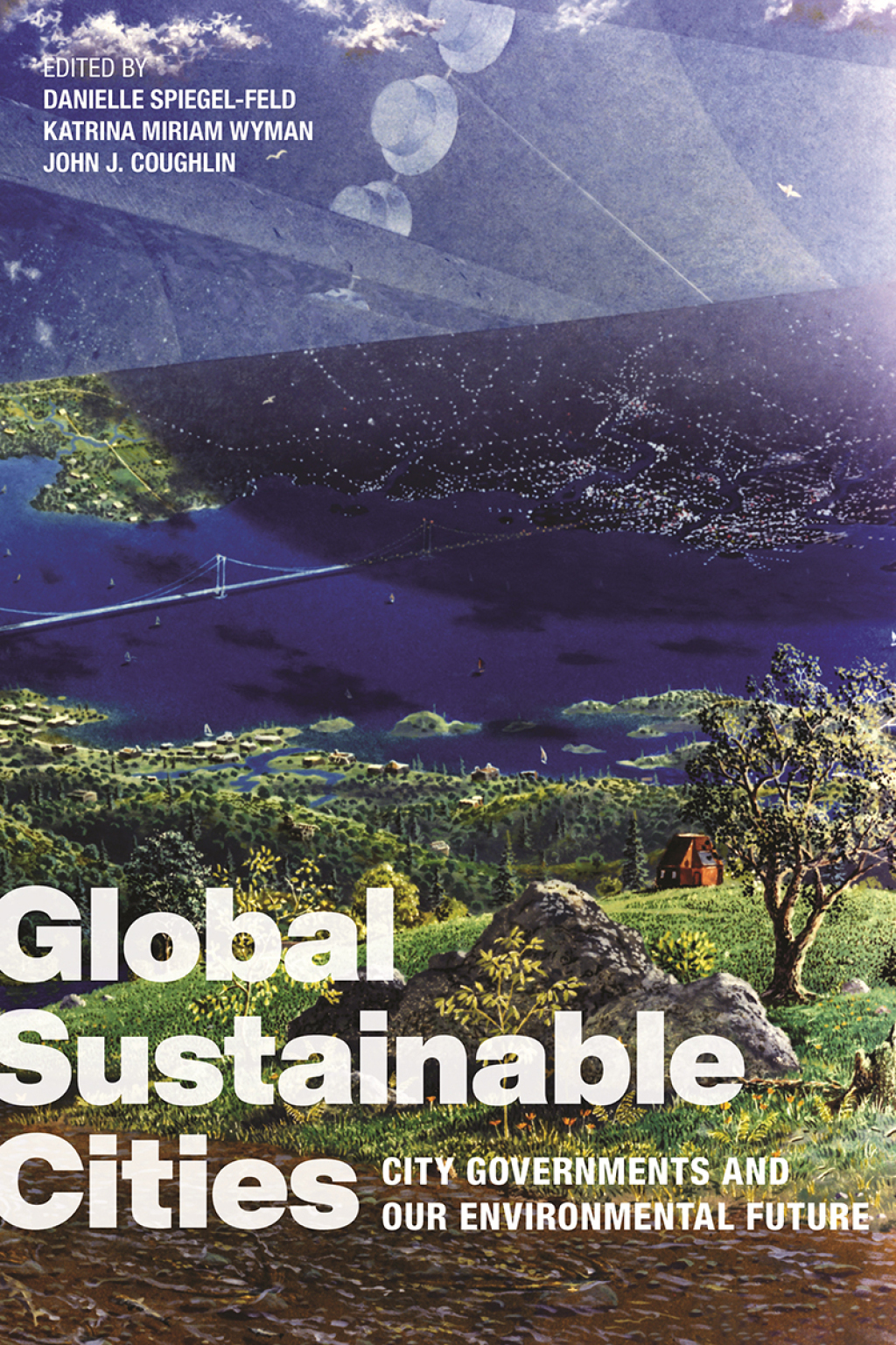 Global Sustainable Cities City Governments and Our Environmental Future - (PDF/EPUB Version)