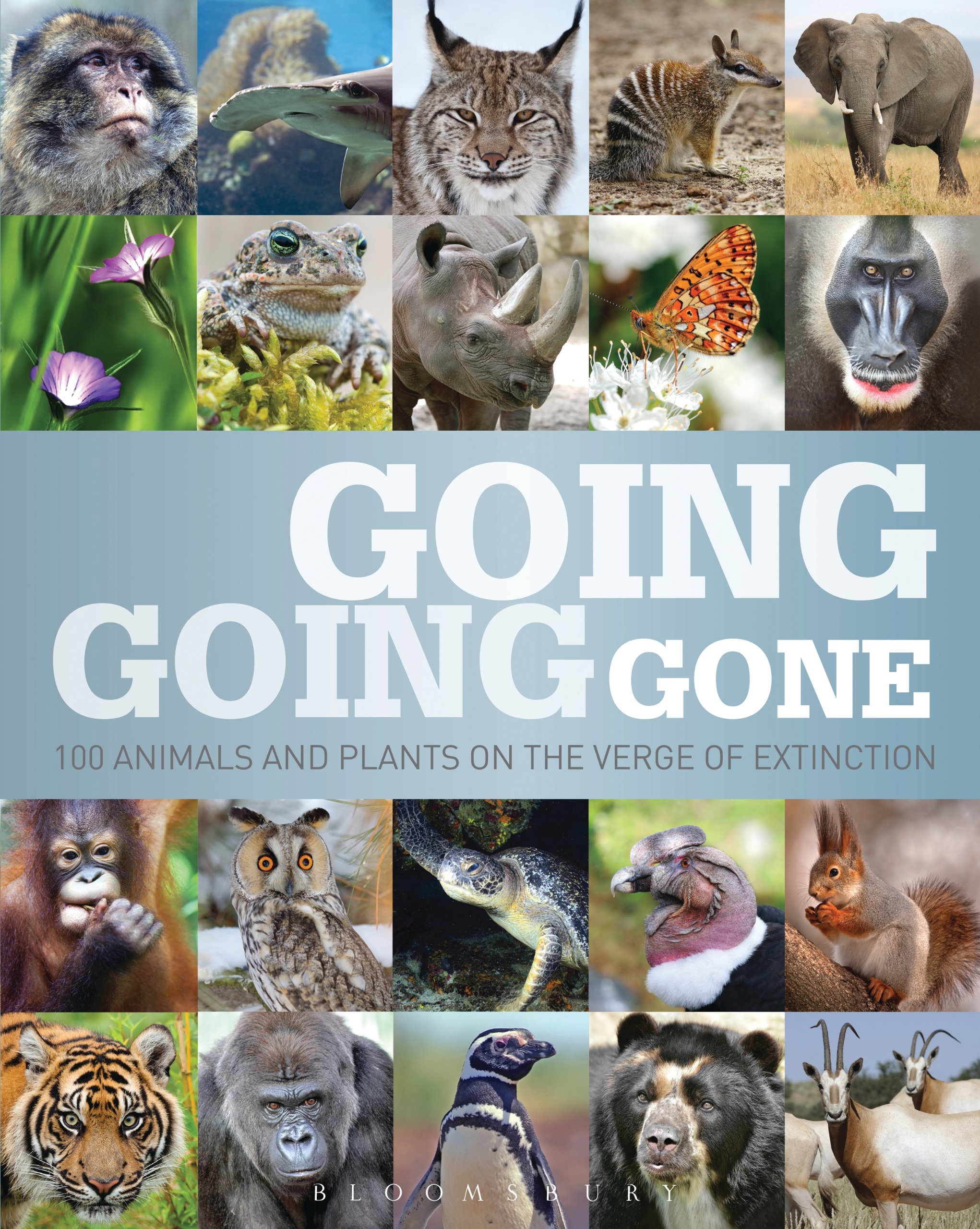 Going, Going, Gone: 100 animals and plants on the verge of extinction ...