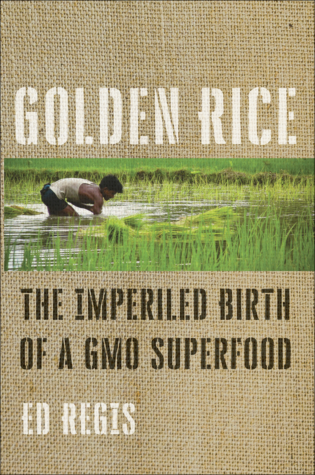 Golden Rice The Imperiled Birth of a GMO Superfood - (PDF/EPUB Version)