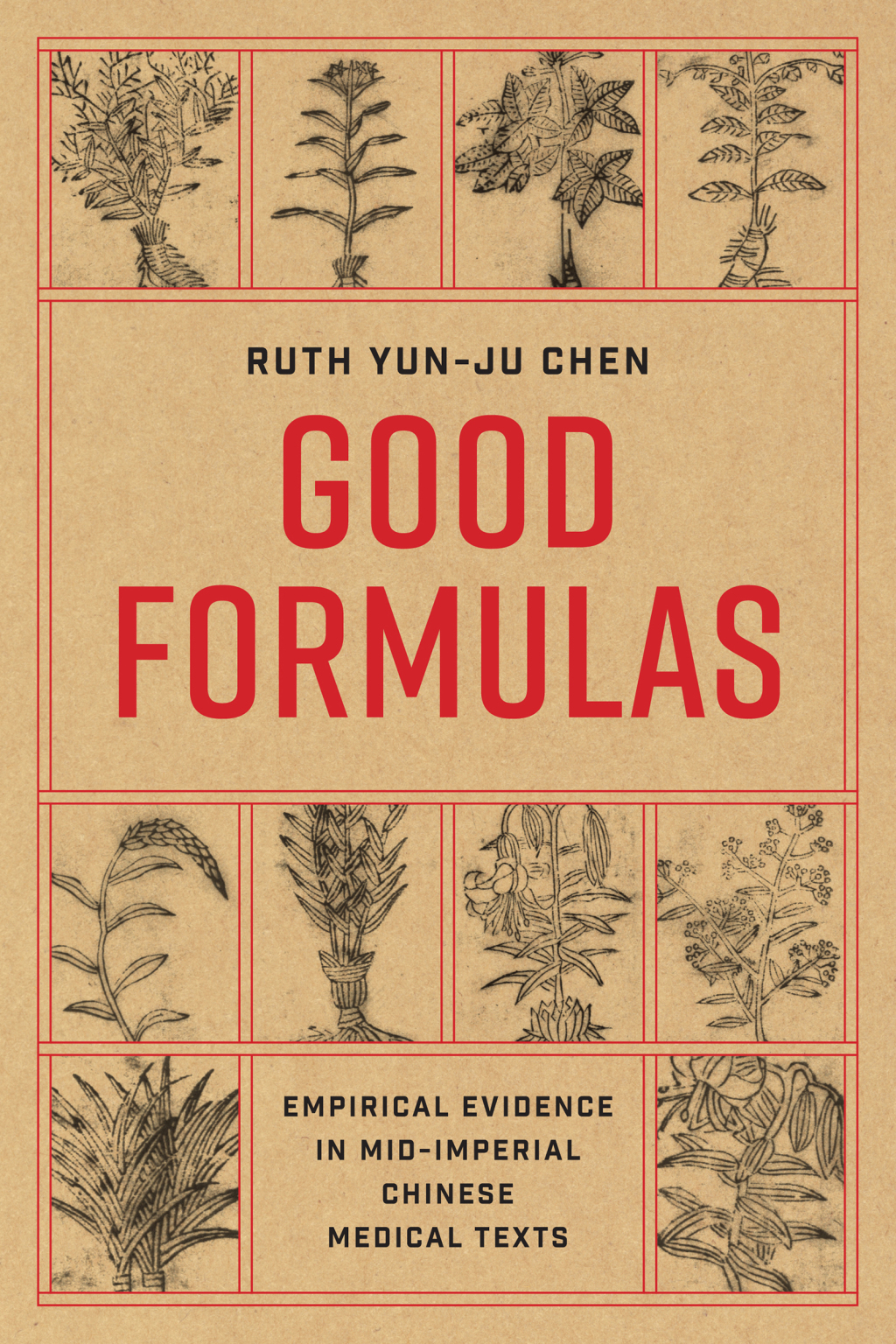 Good Formulas Empirical Evidence in Mid-Imperial Chinese Medical Texts - (PDF/EPUB Version)