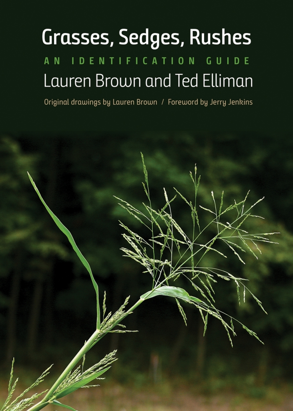 Grasses, Sedges, Rushes An Identification Guide - (PDF/EPUB Version)