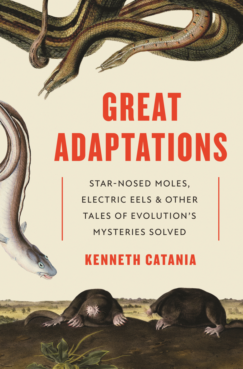 Great Adaptations Star-Nosed Moles, Electric Eels, and Other Tales of Evolutionâ€™s Mysteries Solved - (PDF/EPUB Version)