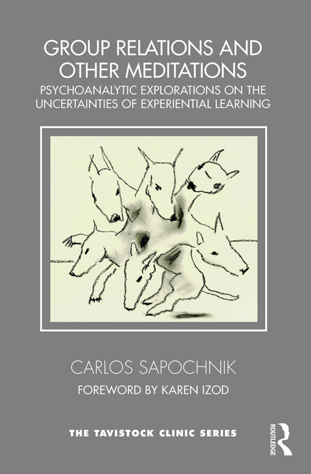 Group Relations and Other Meditations Psychoanalytic Explorations on the Uncertainties of Experiential Learning 1st Edition - (PDF/EPUB Version)