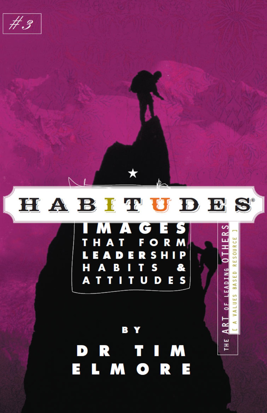 Habitudes Book #3: The Art of Leading Others 1st Edition - (PDF/EPUB Version)