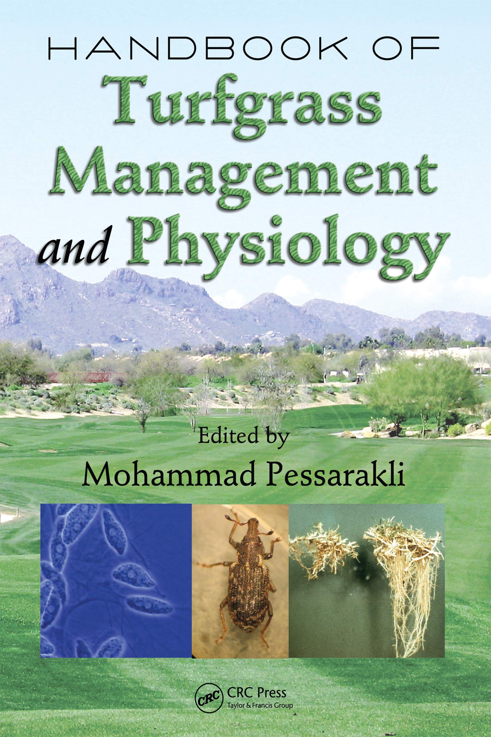 Handbook of Turfgrass Management and Physiology (Books in Soils, Plants ...