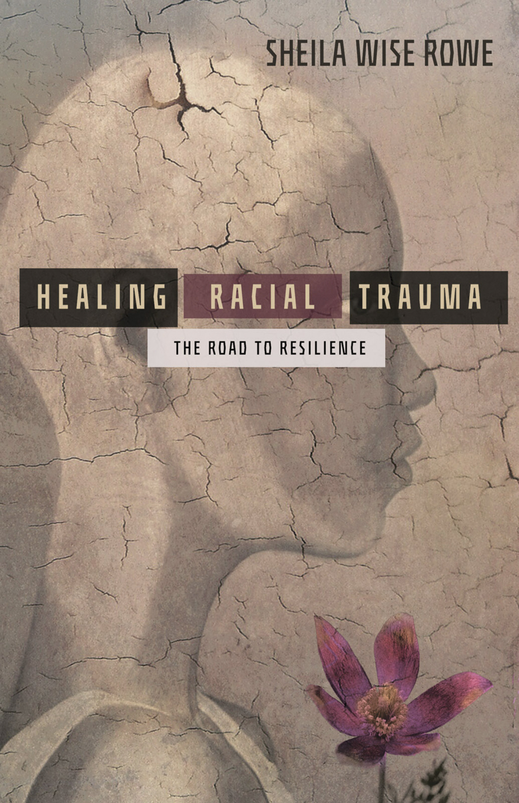 Healing Racial Trauma The Road to Resilience - (PDF/EPUB Version)