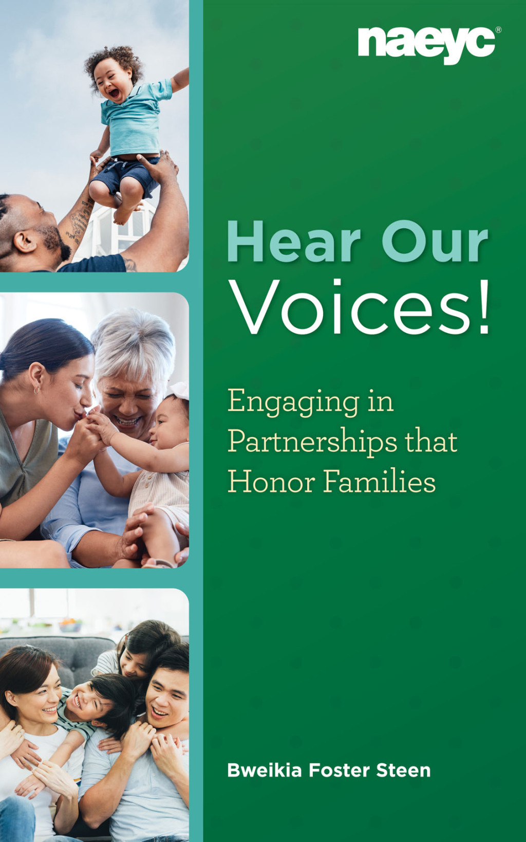 Hear Our Voices! Engaging in Partnerships that Honor Families - (PDF/EPUB Version)