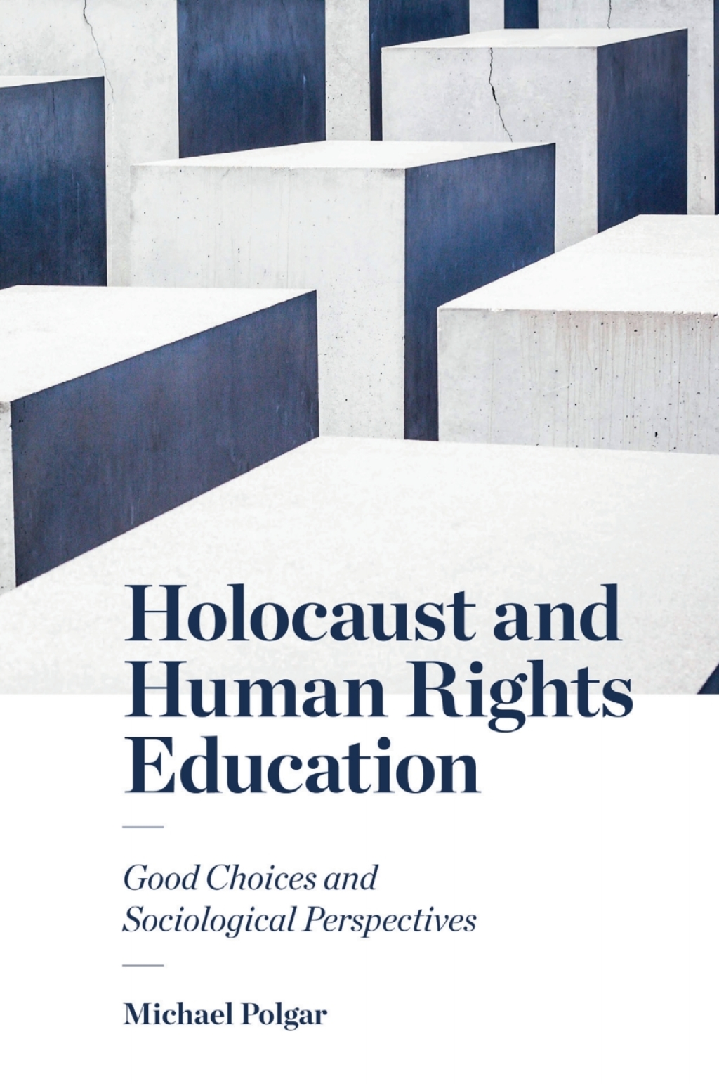 Holocaust and Human Rights Education Good Choices and Sociological Perspectives - (PDF/EPUB Version)