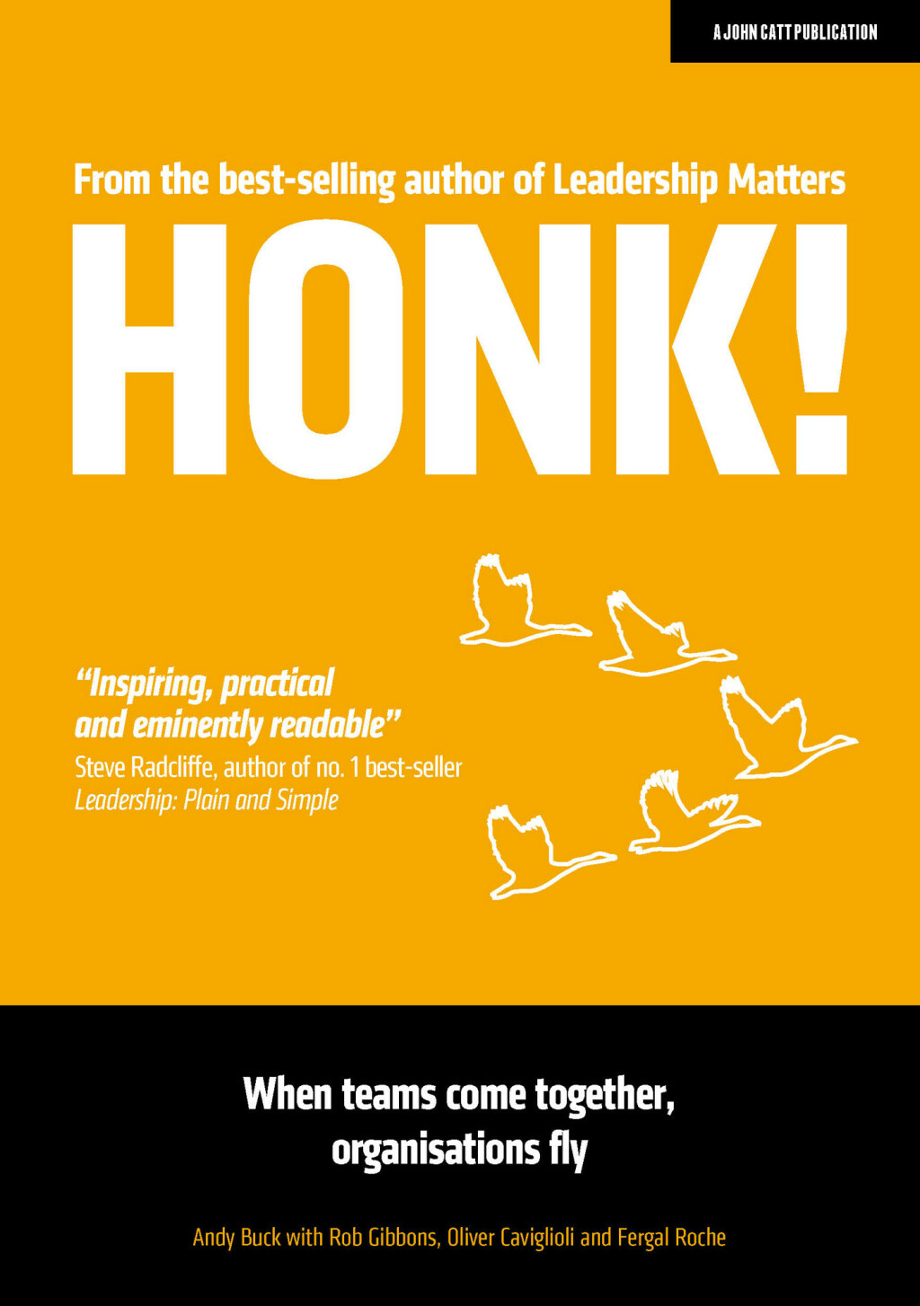 HONK: When teams come together, organisations fly - (PDF/EPUB Version)