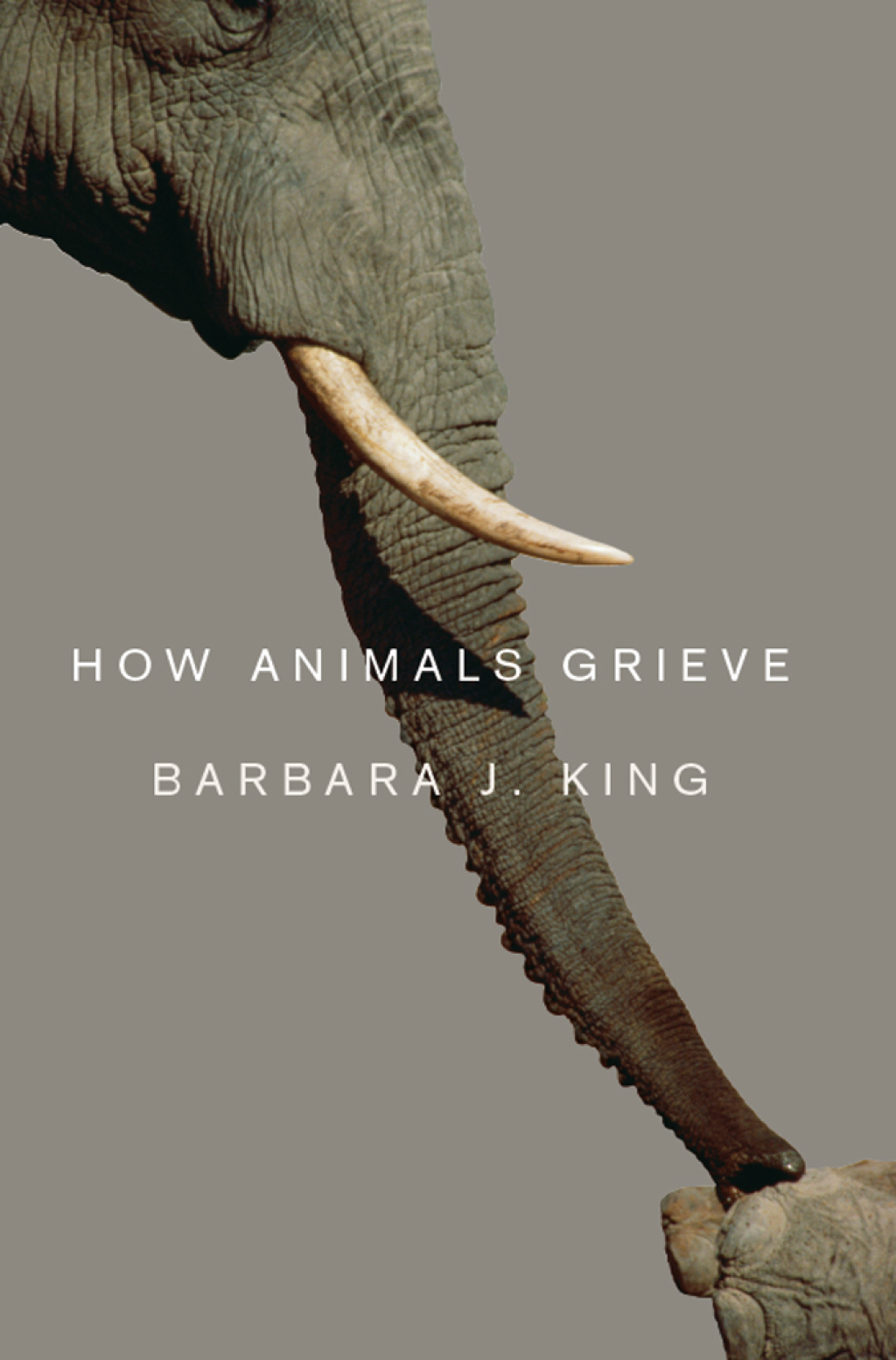 How Animals Grieve 1st Edition - (PDF/EPUB Version)