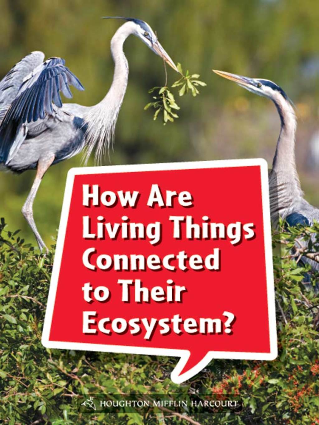 How Are Living Things Connected to Their Ecosystem? 1st Edition - (PDF/EPUB Version)