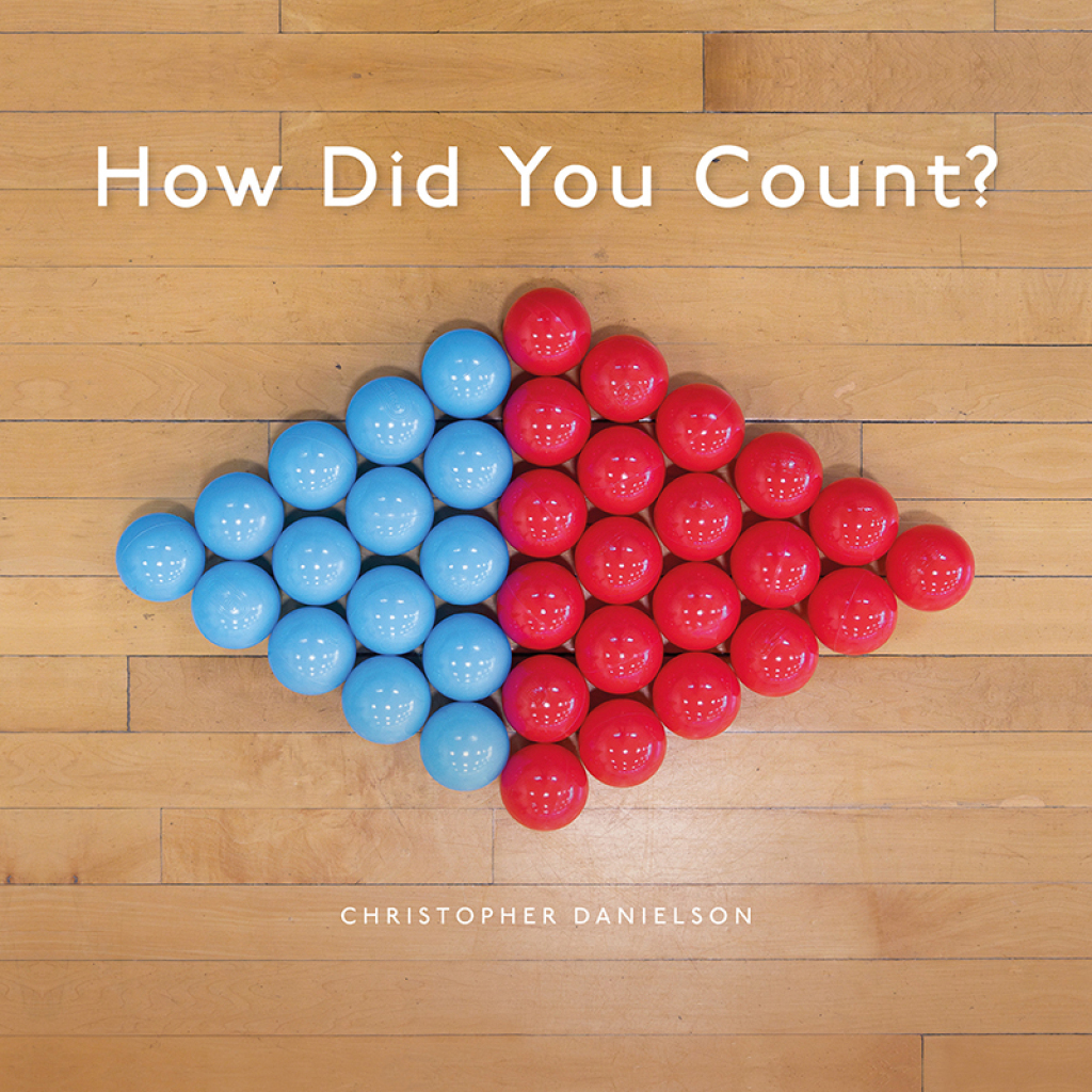 How Did You Count? Picture Book 1st Edition - (PDF/EPUB Version)