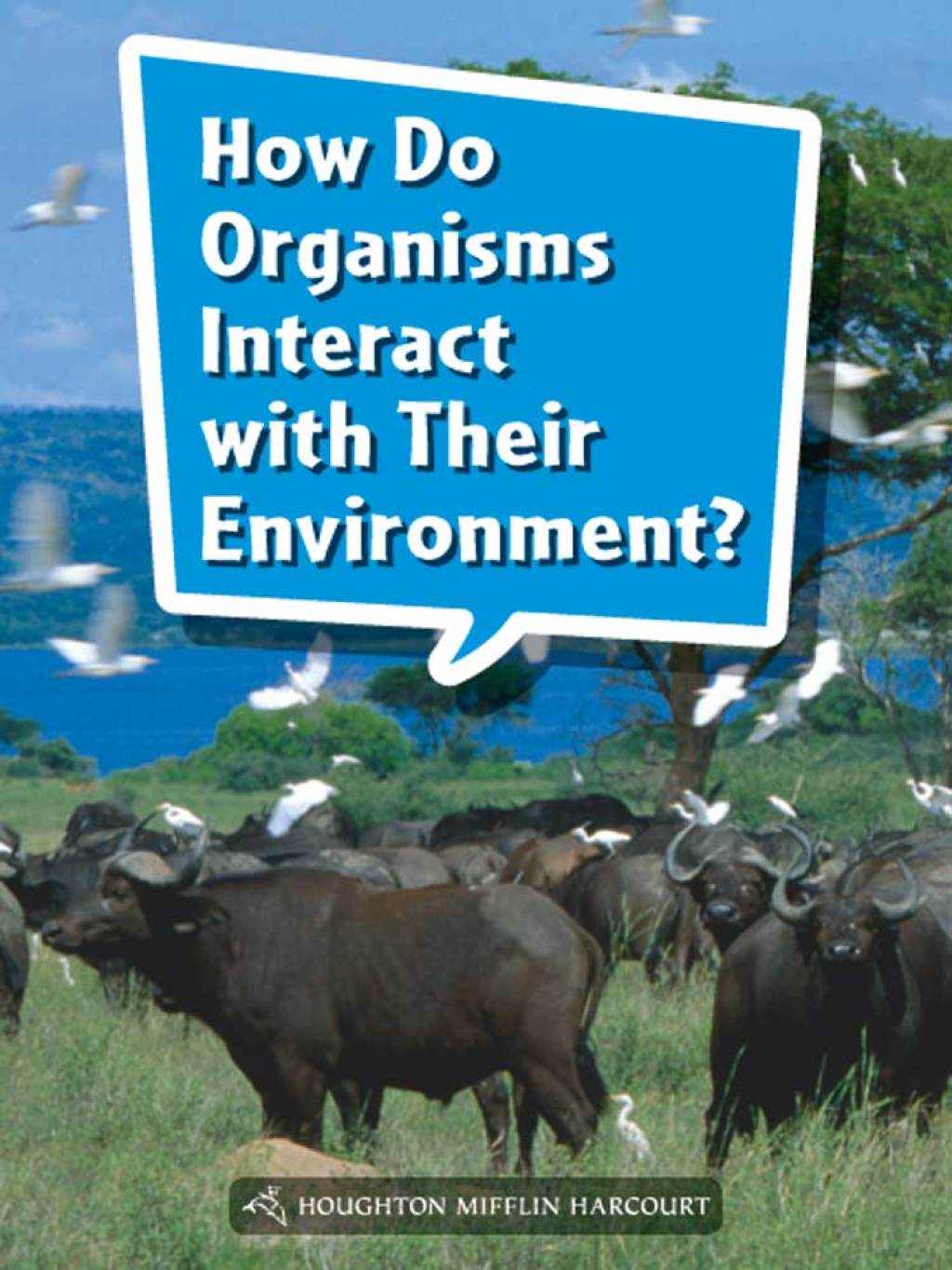 How Do Organisms Interact With Their Environment? 1st Edition - (PDF/EPUB Version)