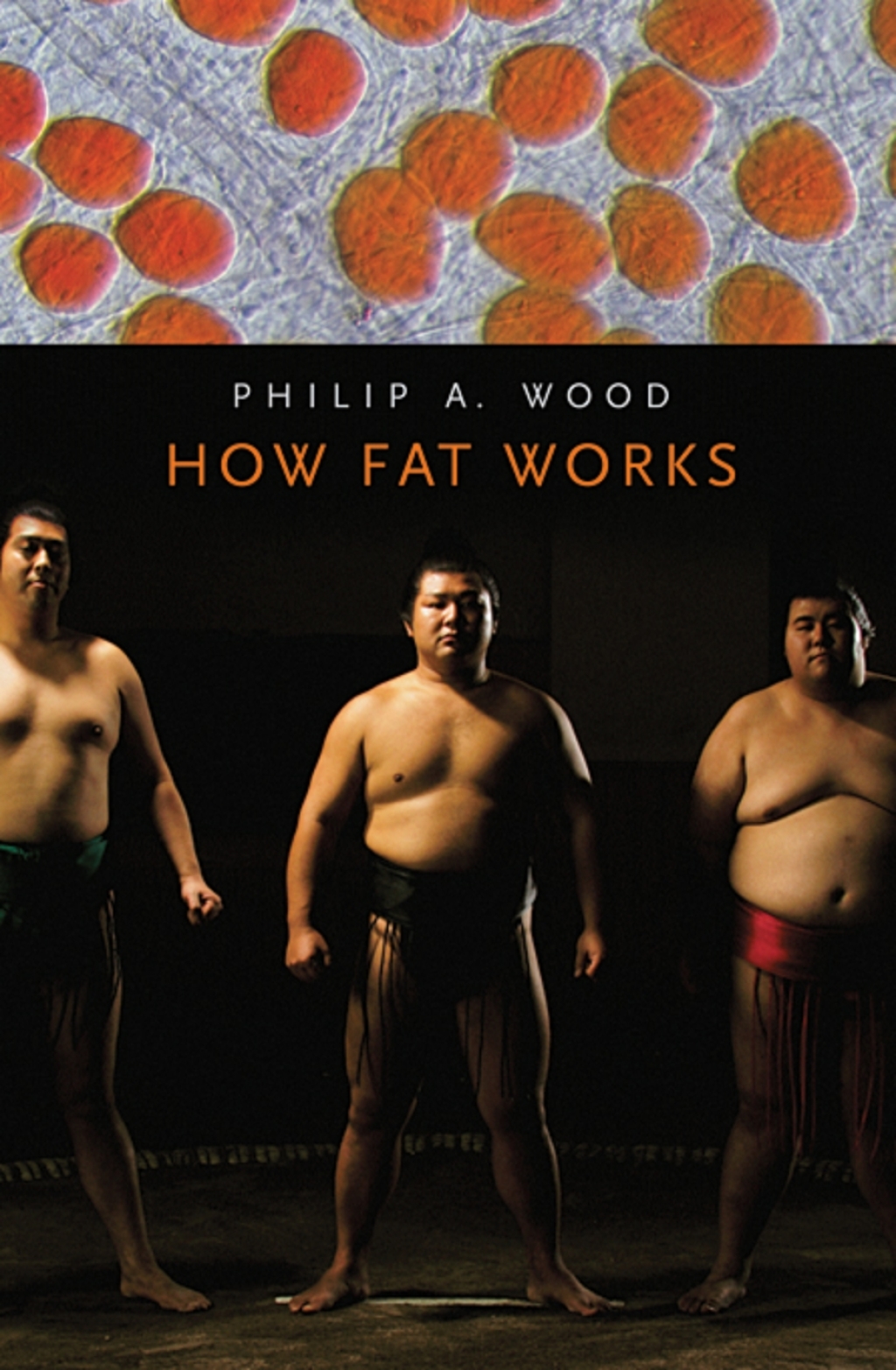 How Fat Works - (PDF/EPUB Version)