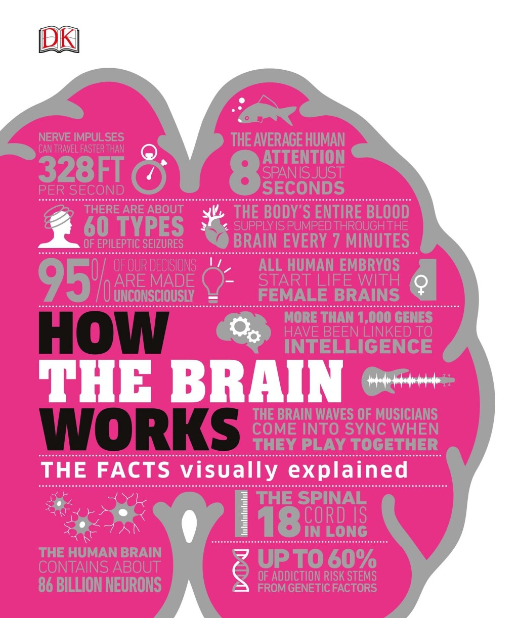 How the Brain Works The Facts Visually Explained - (PDF/EPUB Version)