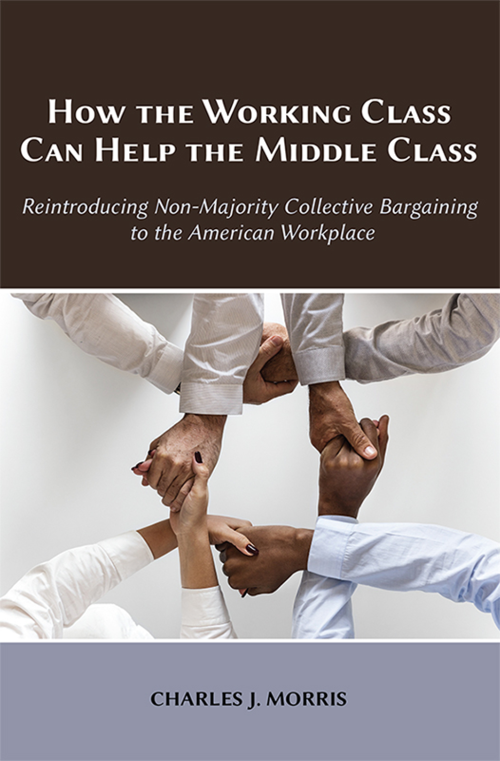 How the Working Class Can Help the Middle Class: Reintroducing Non-Majority Collective Bargaining to the American Workplace 1st Edition - (PDF/EPUB Version)