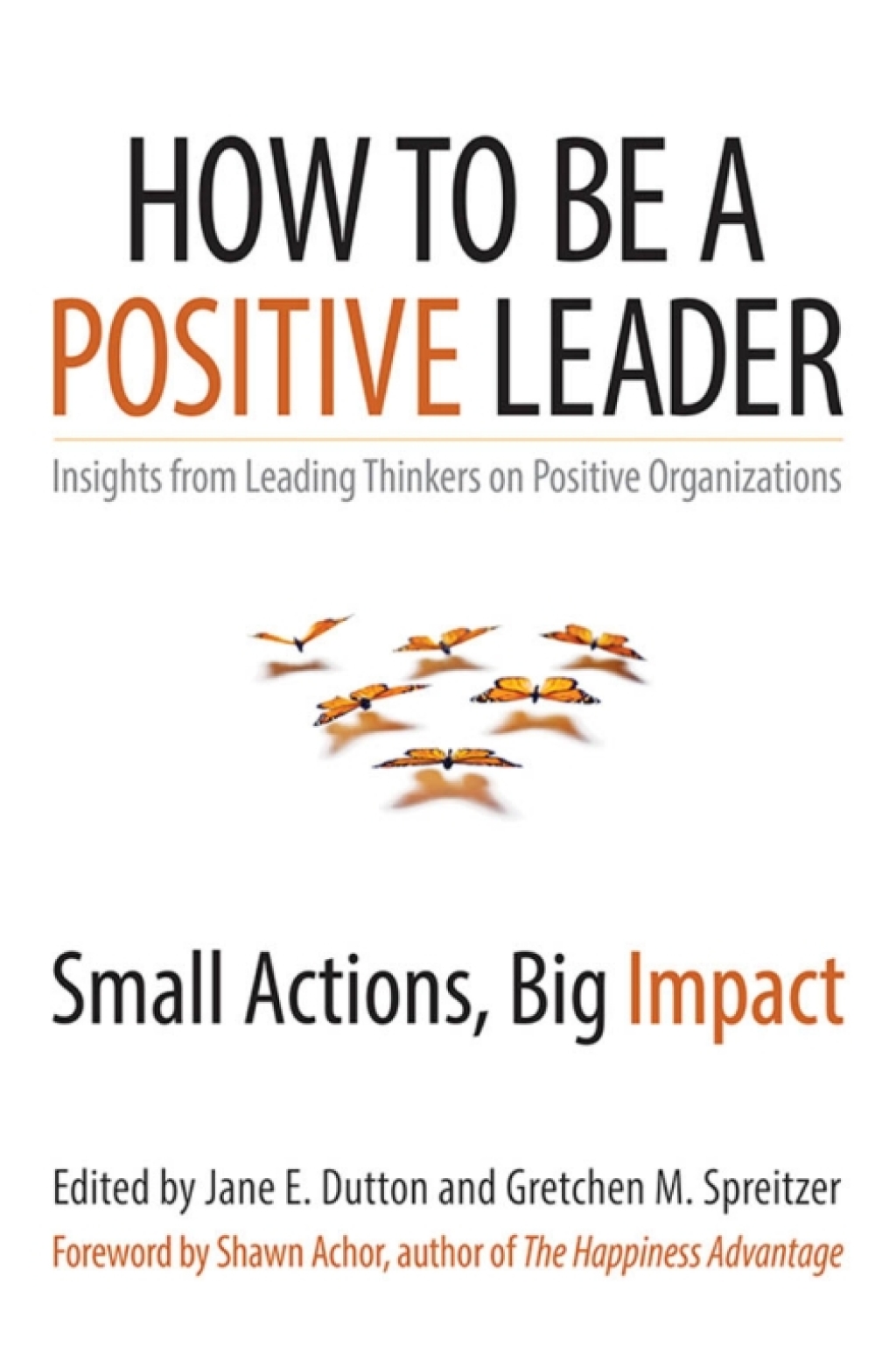 How to Be a Positive Leader: Small Actions, Big Impact 1st Edition - (PDF/EPUB Version)