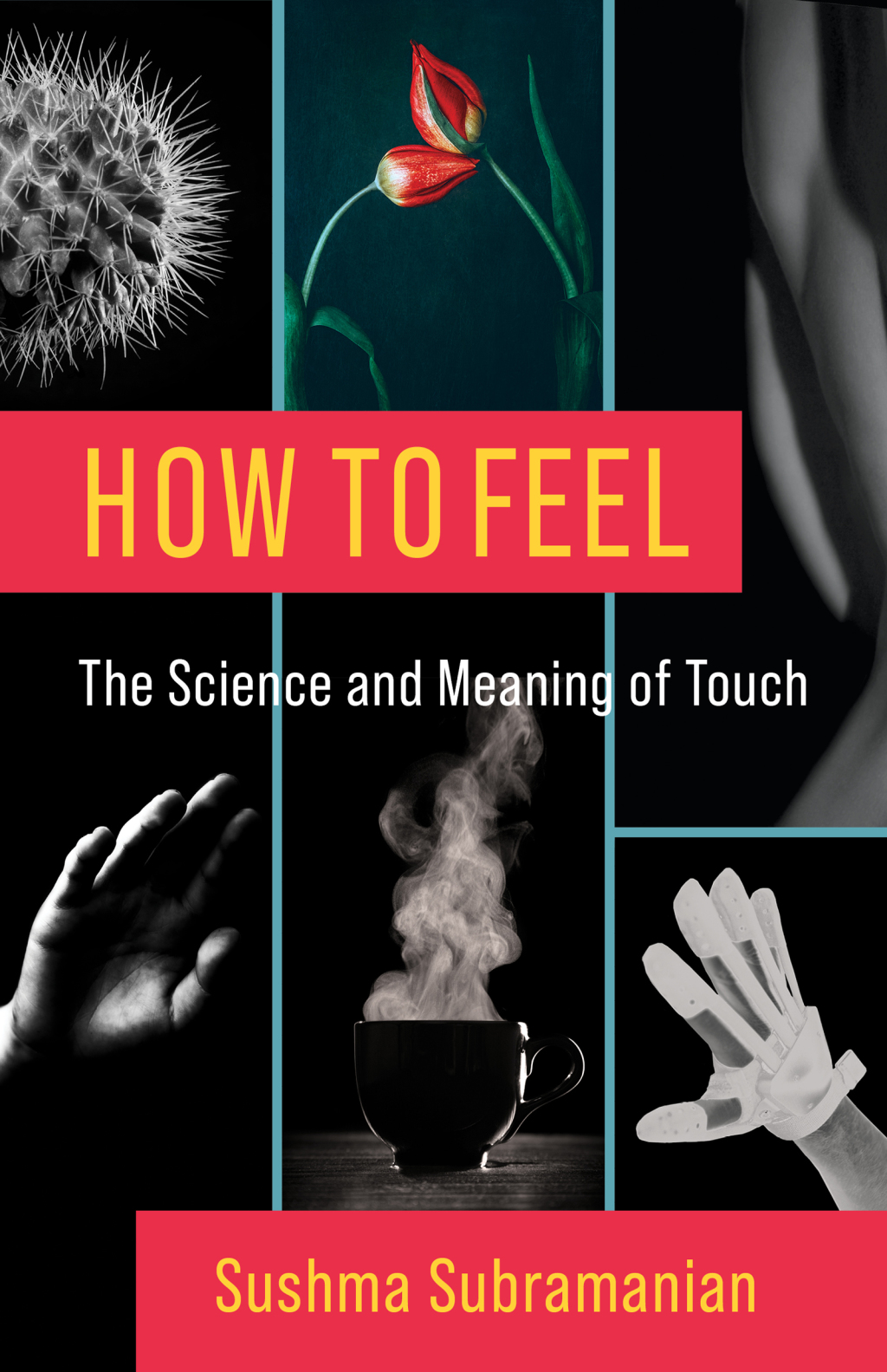 How to Feel The Science and Meaning of Touch - (PDF/EPUB Version)