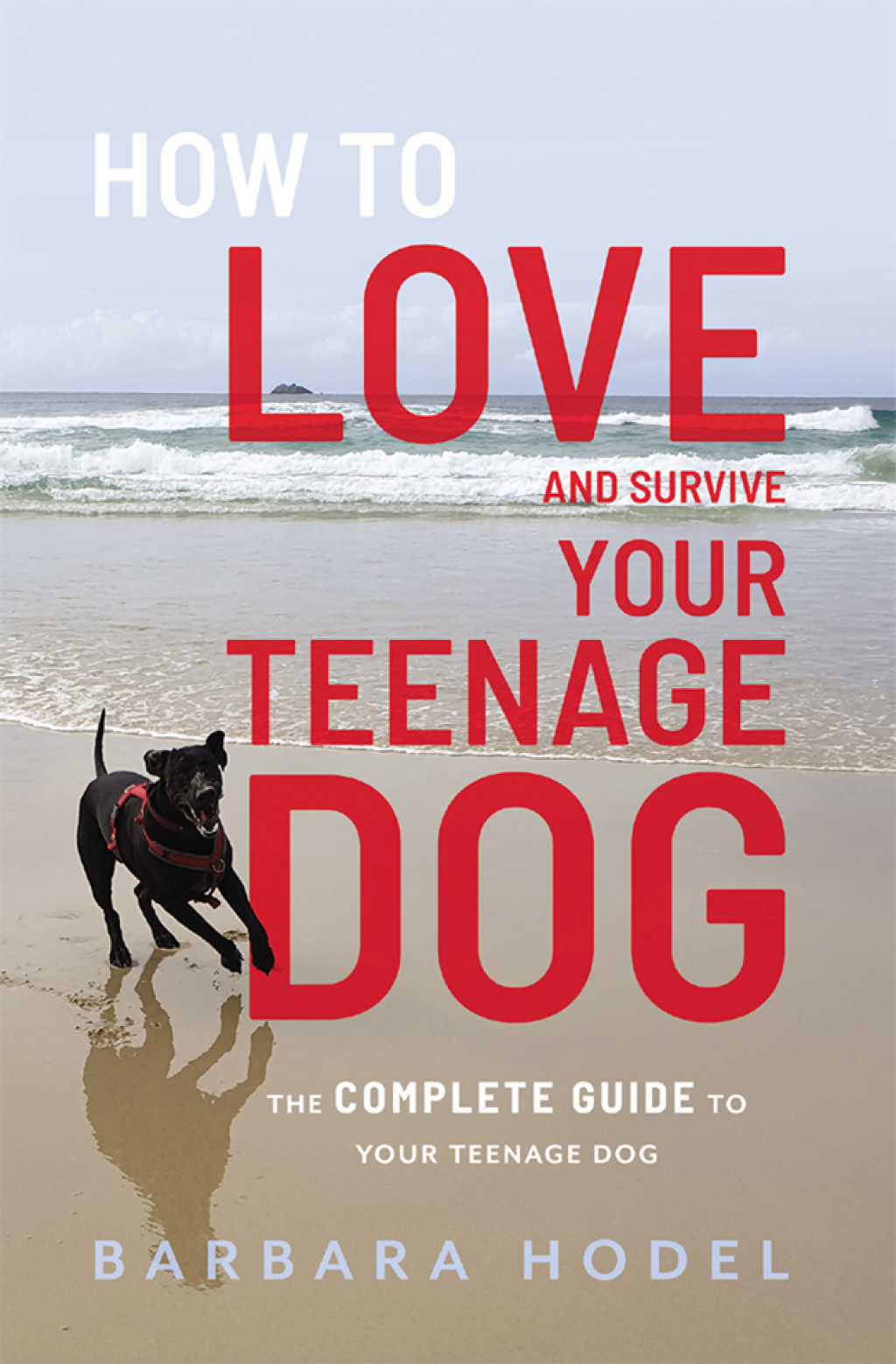 How to love and survive your teenage dog 1st Edition - (PDF/EPUB Version)