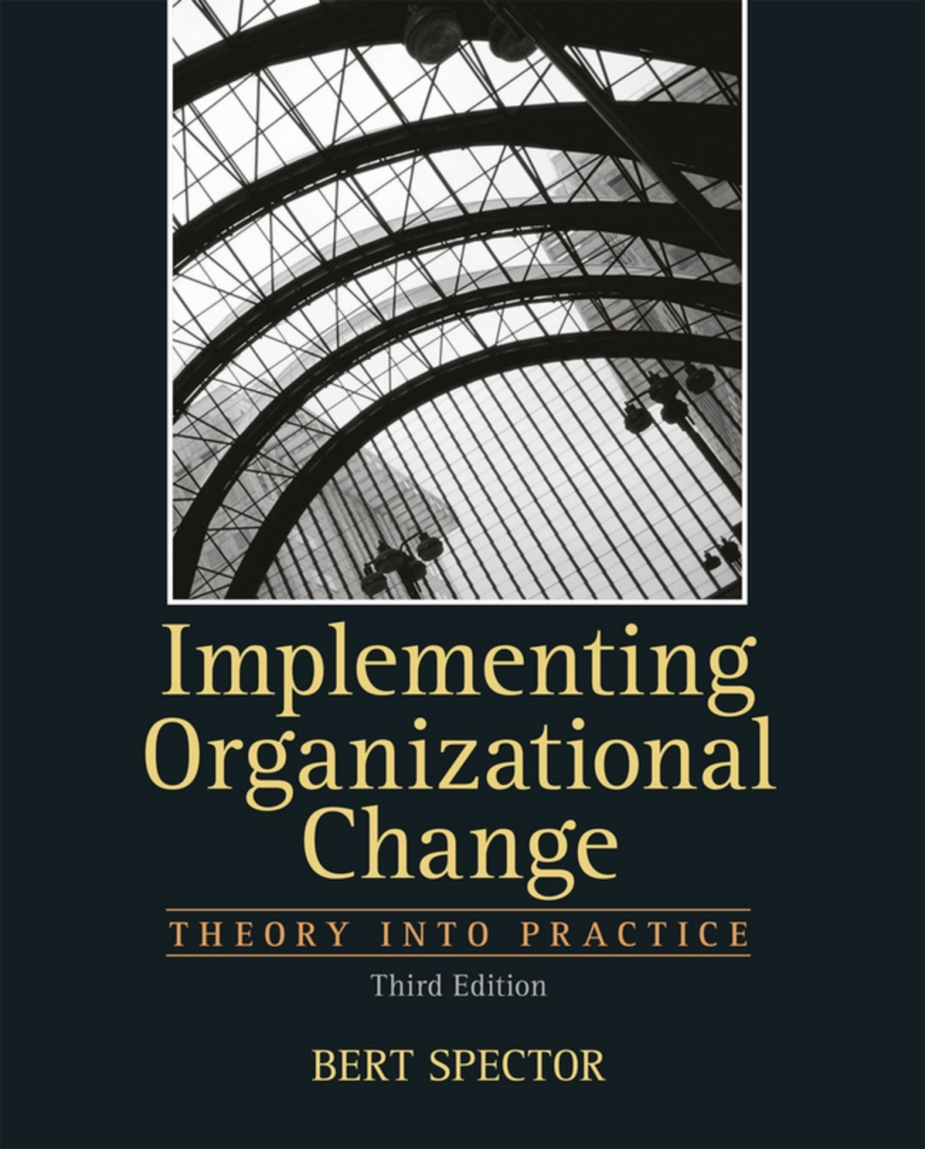 Implementing Organizational Change (Pearson+) 3rd Edition â€“ PDF/EPUB Version Downloadable