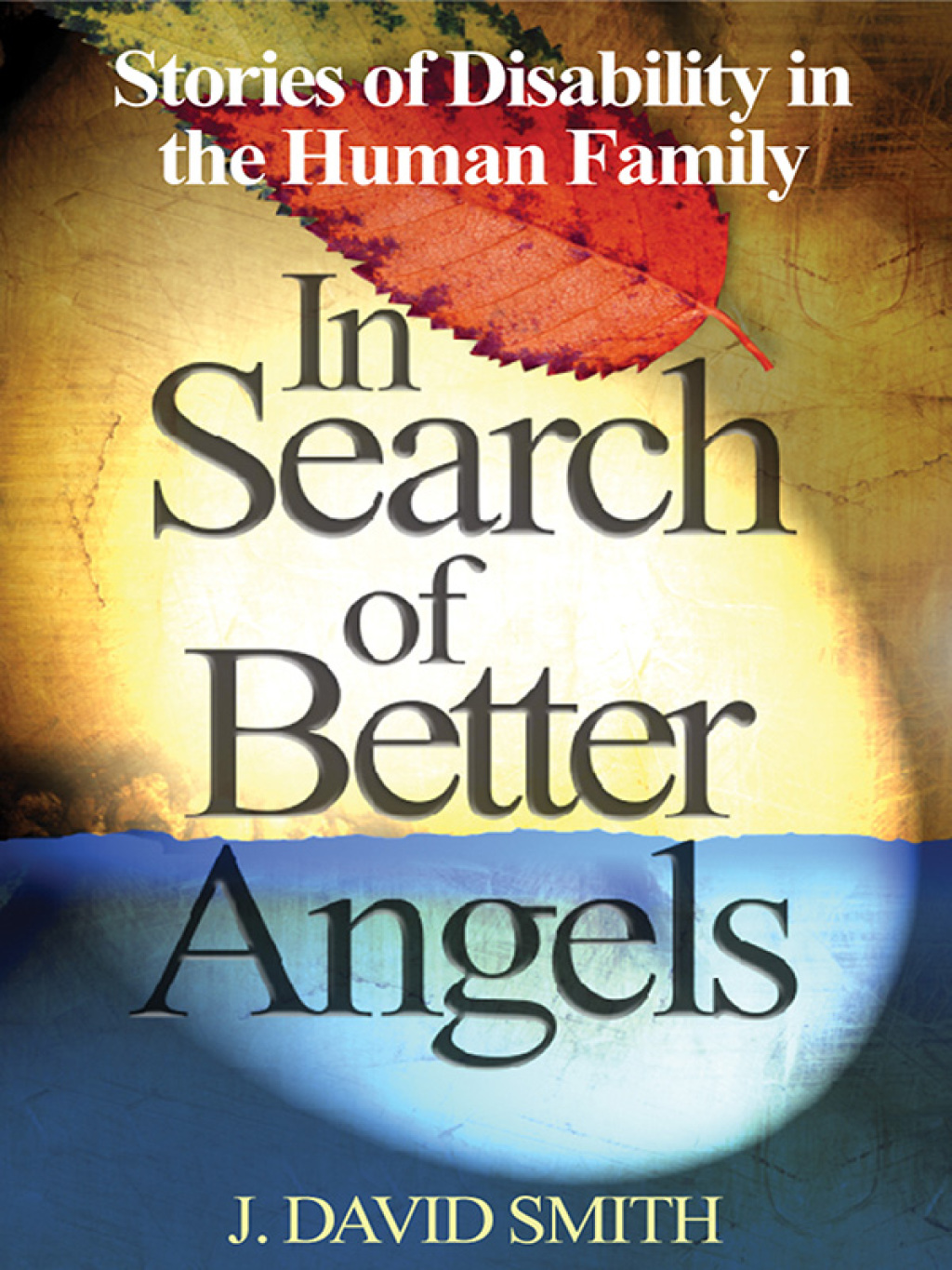 In Search of Better Angels Stories of Disability in the Human Family 1st Edition - (PDF/EPUB Version)