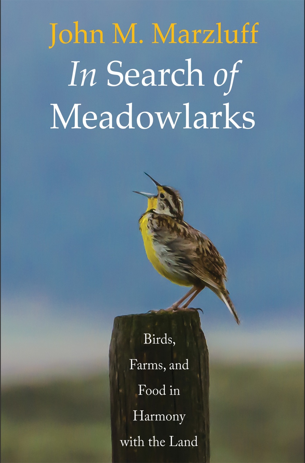 In Search of Meadowlarks Birds, Farms, and Food in Harmony with the Land - (PDF/EPUB Version)