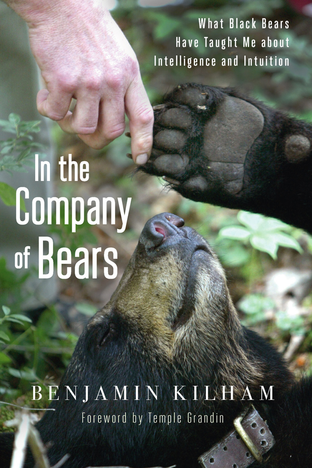 In the Company of Bears What Black Bears Have Taught Me about Intelligence and Intuition - (PDF/EPUB Version)